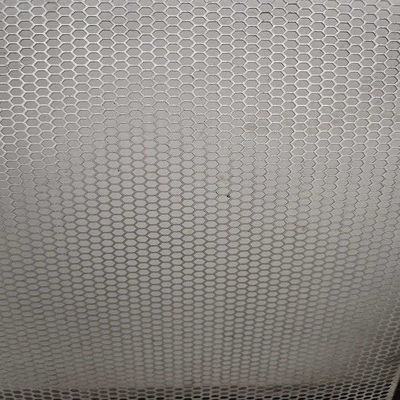 0.3m m galvanizaron el metal perforado Mesh Round/hexágono para el equipo de filtración