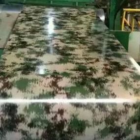 La decoración CGCH que imprimía color de PPGI cubrió las hojas 800m m